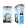 Encens Padré Pio "Vedic Aromatika"15g