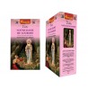 Encens Notre Dame de Lourdes "Vedic Aromatika"15g