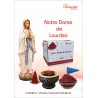 Notre Dame de Lourdes "AROMATIKA POUDRE 100GR" (avec kit pour cônes)